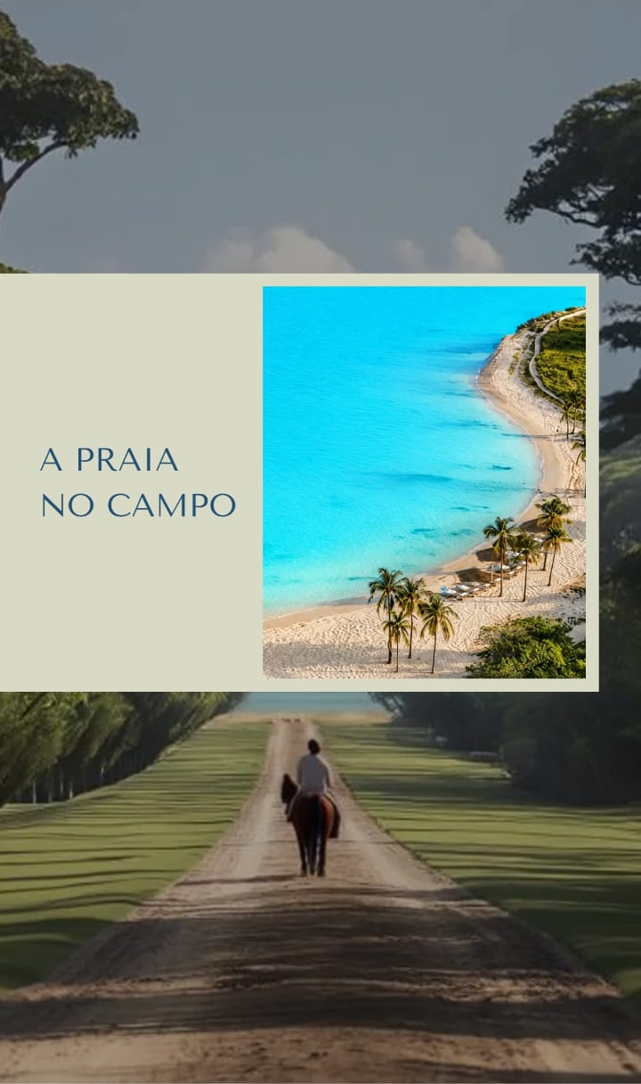 banner A 01