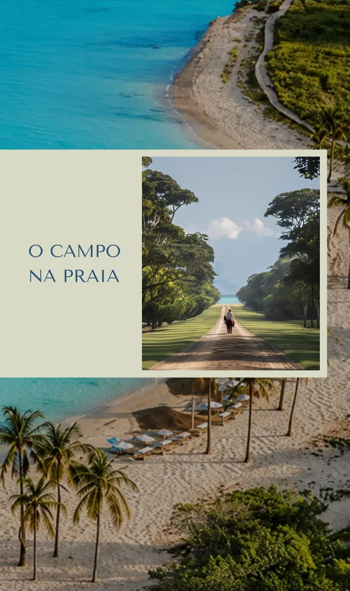 banner B 01